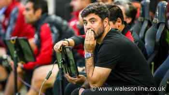 Vitor Matos sweats on Swansea City injury scan boost and star's dreams come true