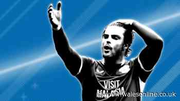 Talented, stroppy, irreplaceable - Why Barry-Murphy backs Cardiff City star to the hilt