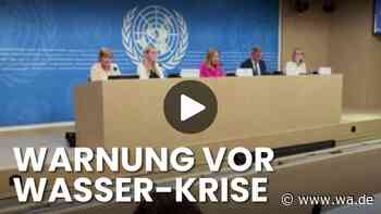 „Wir zehren es auf“: Dramatische Folgen auch für Europa