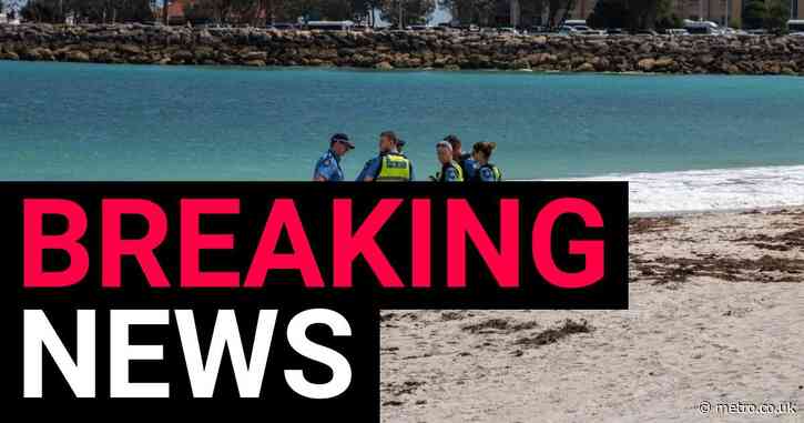 Man feared dead after being ‘thrown around’ in shark attack off Australian beach