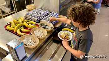 Dozens of N.B. schools still don't have promised lunch program