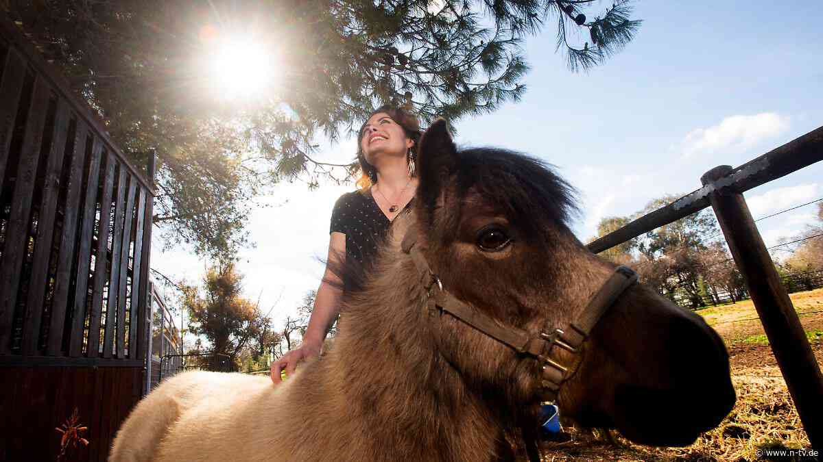 Weniger Angst, weniger einsam: Teenager fühlen sich nach kurzem Tierkontakt stabiler