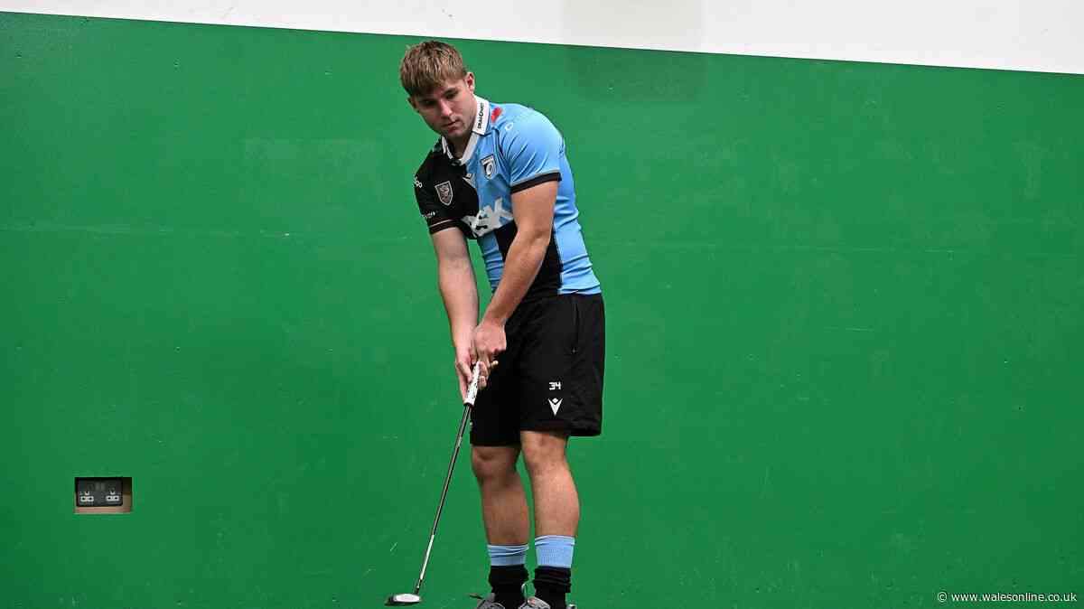 Welsh youngster gets surprise on big night as he does 'best job in the world'