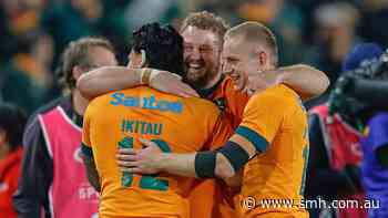 Rassie Erasmus says Springboks ‘arrogance’ led to Wallabies humbling. He’s learned his lesson