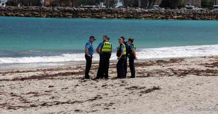 Swimmer dies in shark attack after being thrashed ‘like a ragdoll’