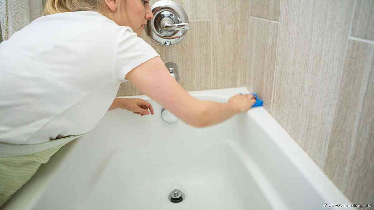 Silverfish September home invasion can be stopped by scattering 27p kitchen cupboard item