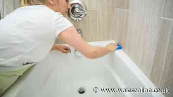 Silverfish September home invasion can be stopped by scattering 27p kitchen cupboard item