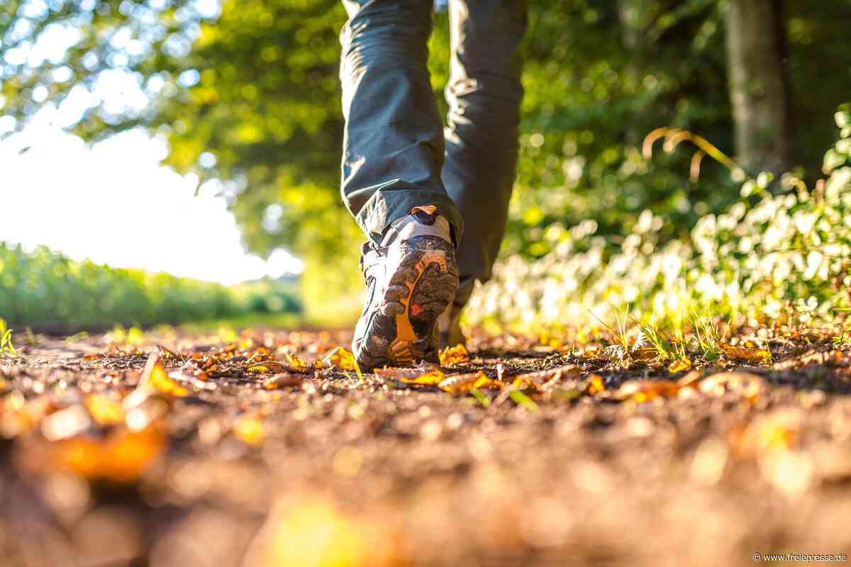 Wanderungen im mittleren Erzgebirge: In den Berg, zu den Pilzen oder ins Nachbarland