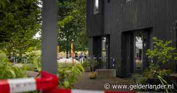 Tiener (15) die haar ouders in Meerstad doodde handelde alleen