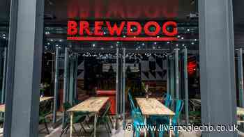 ‘Insufficient funds’ to pay employee wage debts at collapsed BrewDog company