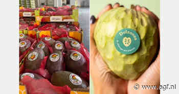 Spaans mangoseizoen van start met fors kleinere oogst en stevige concurrentie