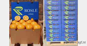 "Niet de markt, maar de transportkosten knellen voor Zuid-Afrikaans citrus"