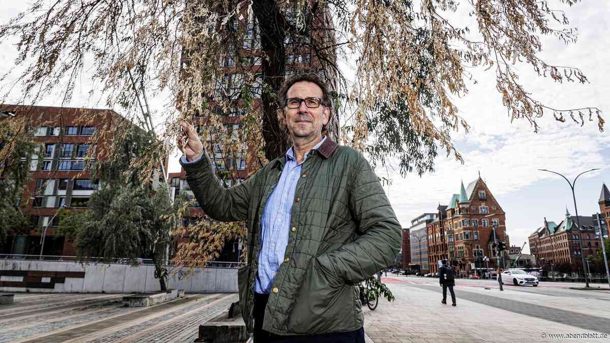 Bäume sterben ab, Wege mit Stolperfallen: Vorzeigeareal „droht zu verwahrlosen“