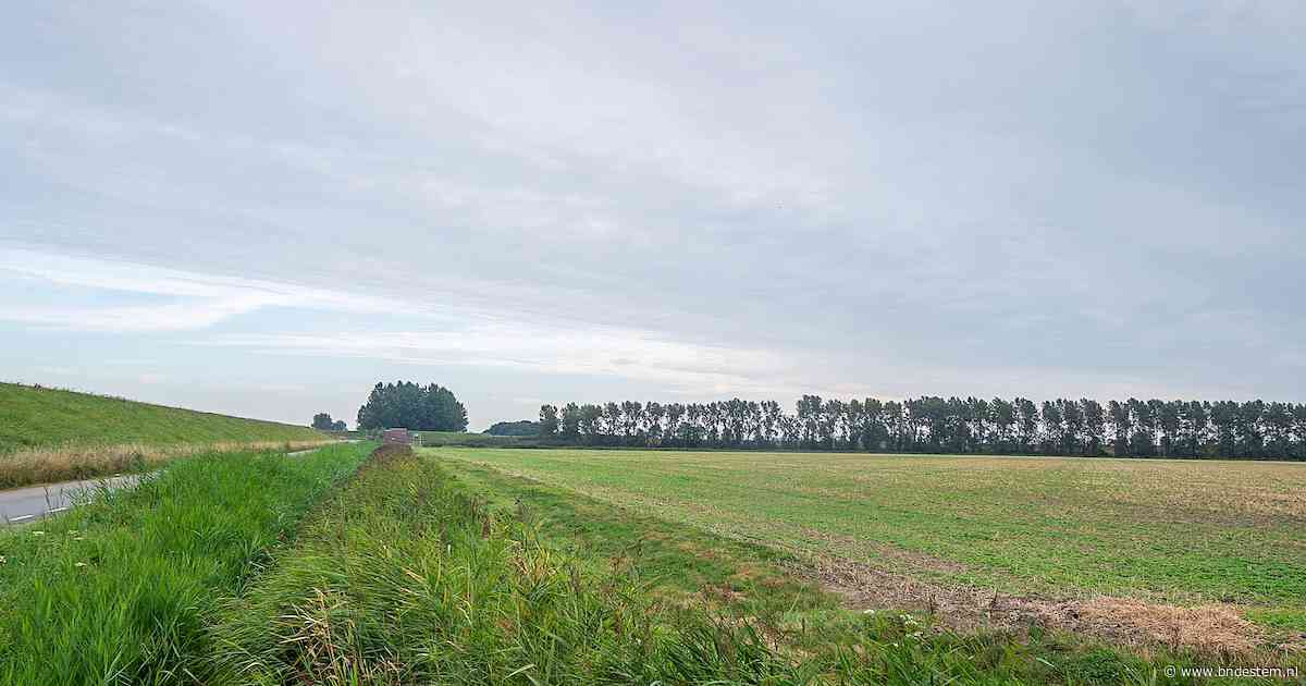 TenneT legt ondergrondse kabels door akkers rond Bergen op Zoom: provincie wil de regie houden