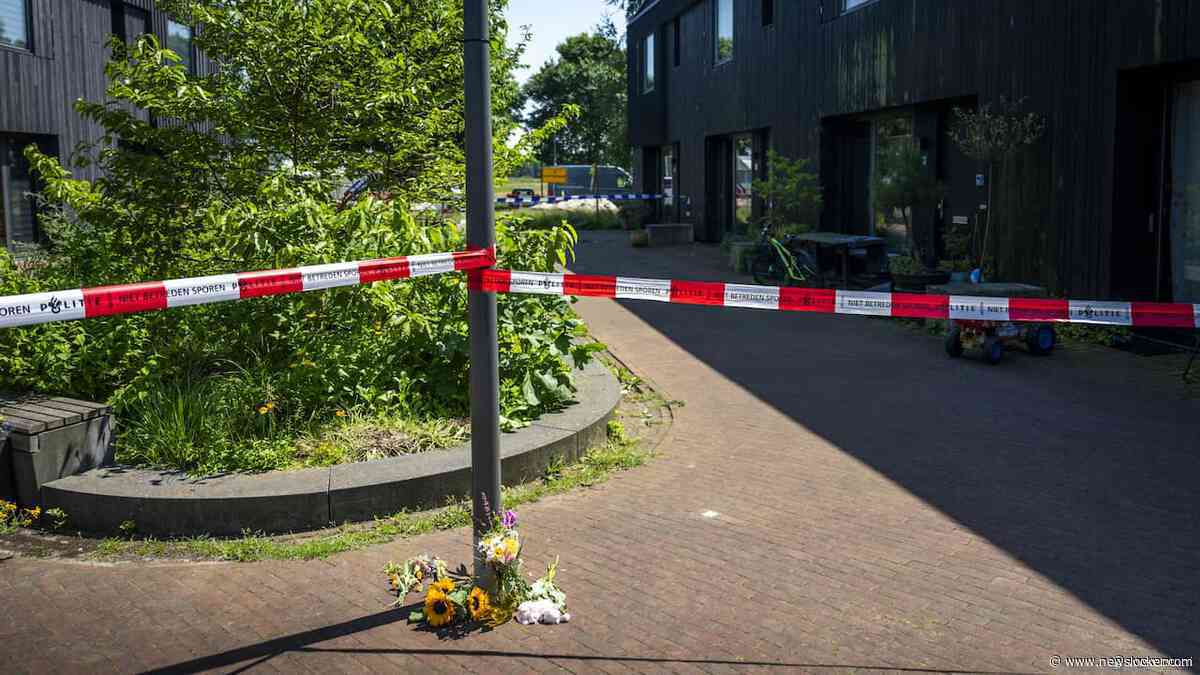 Verdachte (15) van moord op ouders in Meerstad handelde alleen, geen link online groep