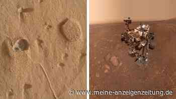 Rätselhafter NASA-Fund auf dem Mars: „Merkmale, wie wir sie noch nie gesehen haben“