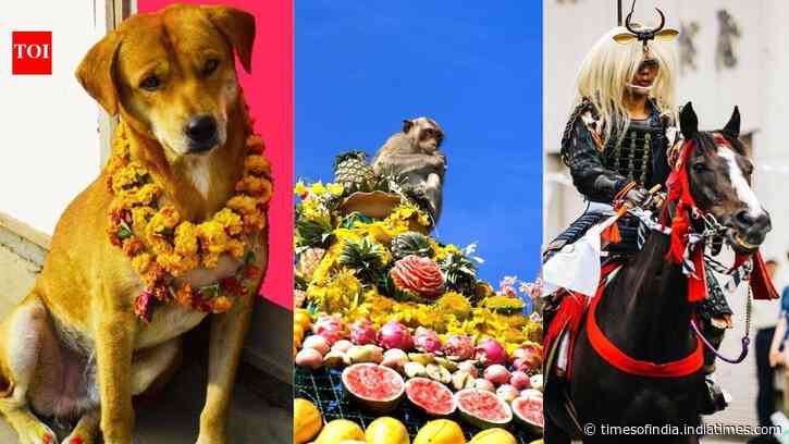 8 unusual animal festivals celebrated worldwide