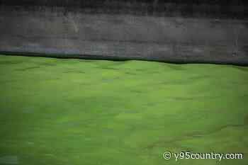 Wyoming Warns Residents To Avoid Contaminated Reservoir Water Amid Algae Bloom Outbreak