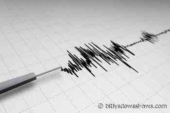 Registran sismo de magnitud 3,9 en provincia costera de Ecuador