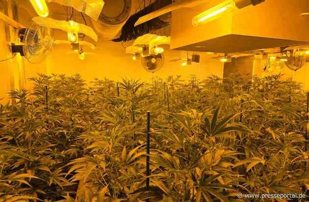 POL-HSK: Cannabis-Plantage bei Durchsuchung in Winterberg-Langewiese festgestellt