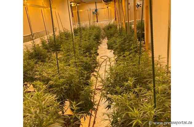 POL-NH: Polizei entdeckt Cannabisplantage mit rund 300 Pflanzen in Borken - Zeugen gesucht
