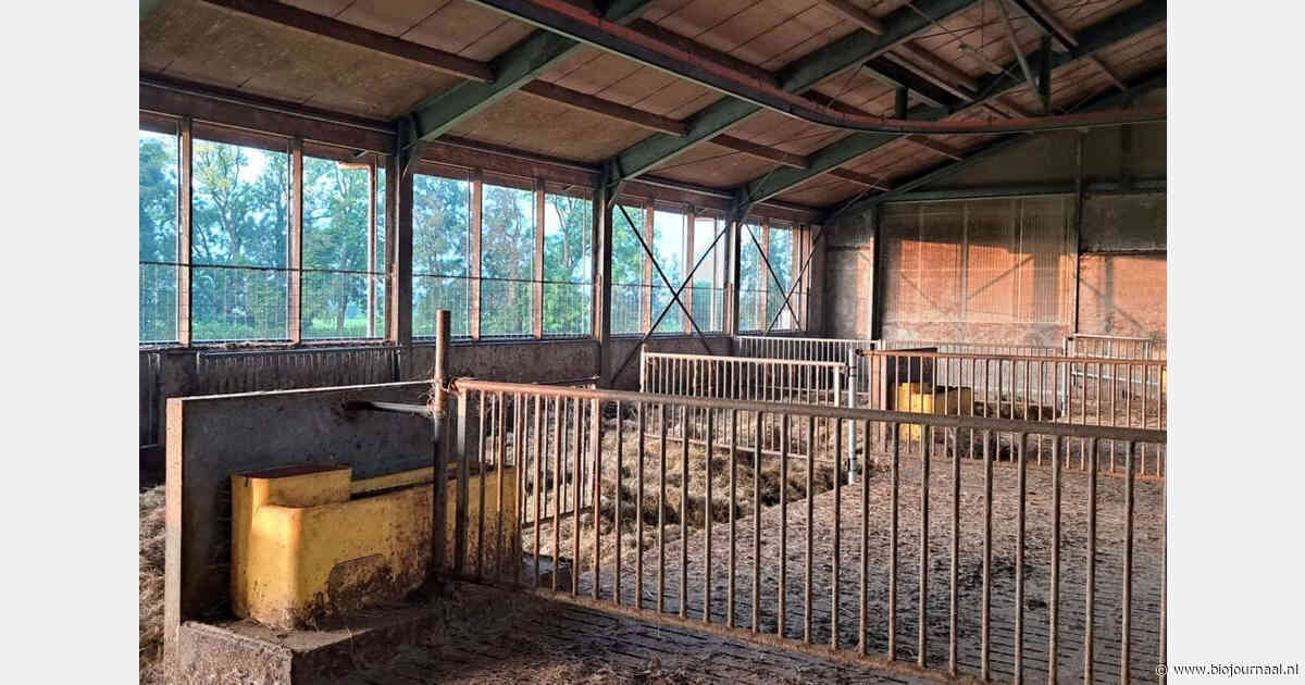 Drenthe trekt 20 miljoen euro extra uit voor stoppersregeling veehouderij