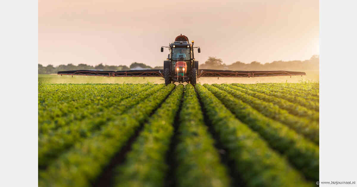 Brandbrief van 573 wetenschappers over Europese regels voor gewasbeschermingsmiddelen