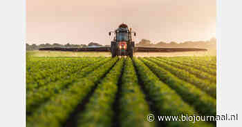 Brandbrief van 573 wetenschappers over Europese regels voor gewasbeschermingsmiddelen