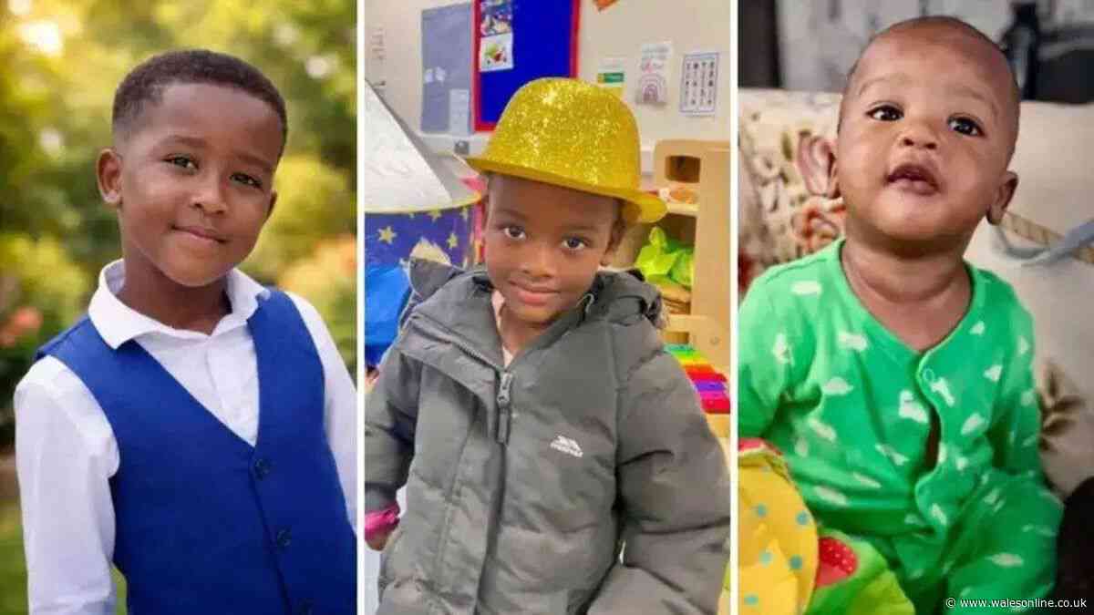 Mother to admit she killed her three children, court hears