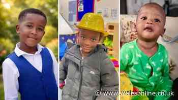 Mother to admit she killed her three children, court hears