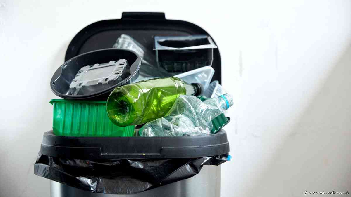 Food waste expert names three things that everybody recycles wrong at home