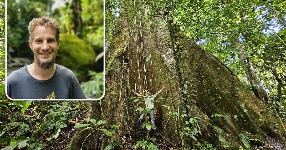 Matthijs Bol redde in vijftien jaar honderden voetbalvelden aan regenwoud in Costa Rica