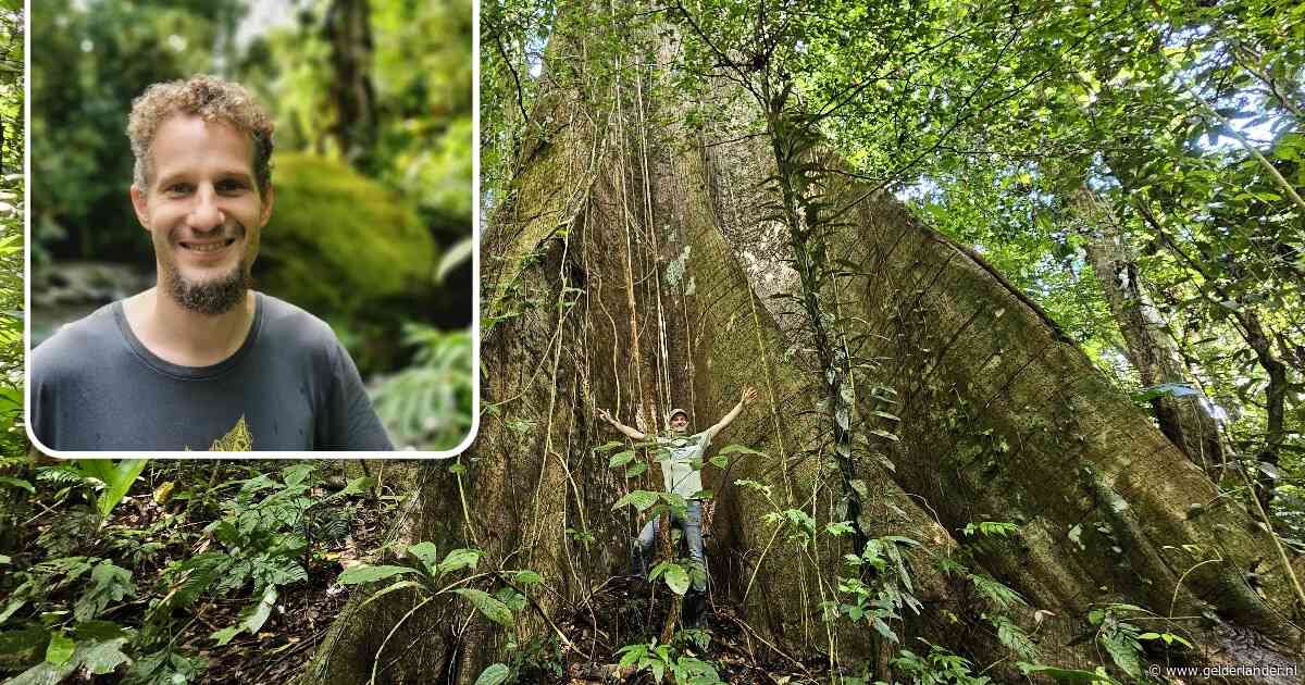 Matthijs Bol redde in vijftien jaar honderden voetbalvelden aan regenwoud in Costa Rica