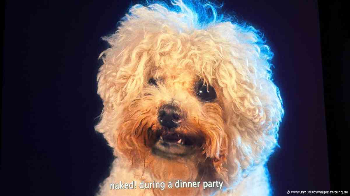 Neue Ausstellung im Kunstmuseum Wolfsburg: Dieses süße Hundi hasst Fremde