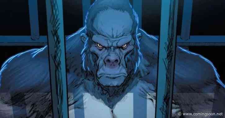 When Is People v. Gorilla Grodd Series Set in DCU Timeline? Superman Star Has Answered