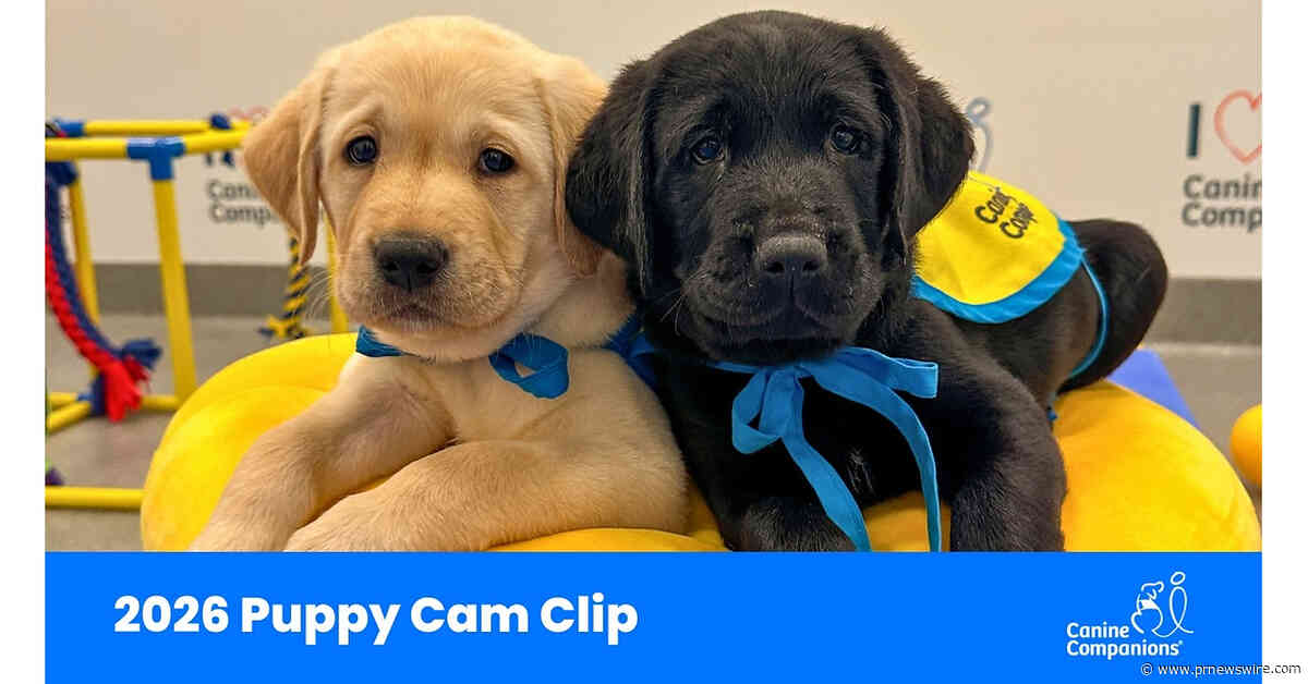 Canine Companions® Celebrates National Service Dog Month with Live Puppy Cam, Including a Snoopy Cameo