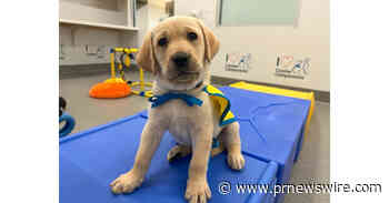 Canine Companions® Celebrates National Service Dog Month with Live Puppy Cam, Including a Snoopy Cameo