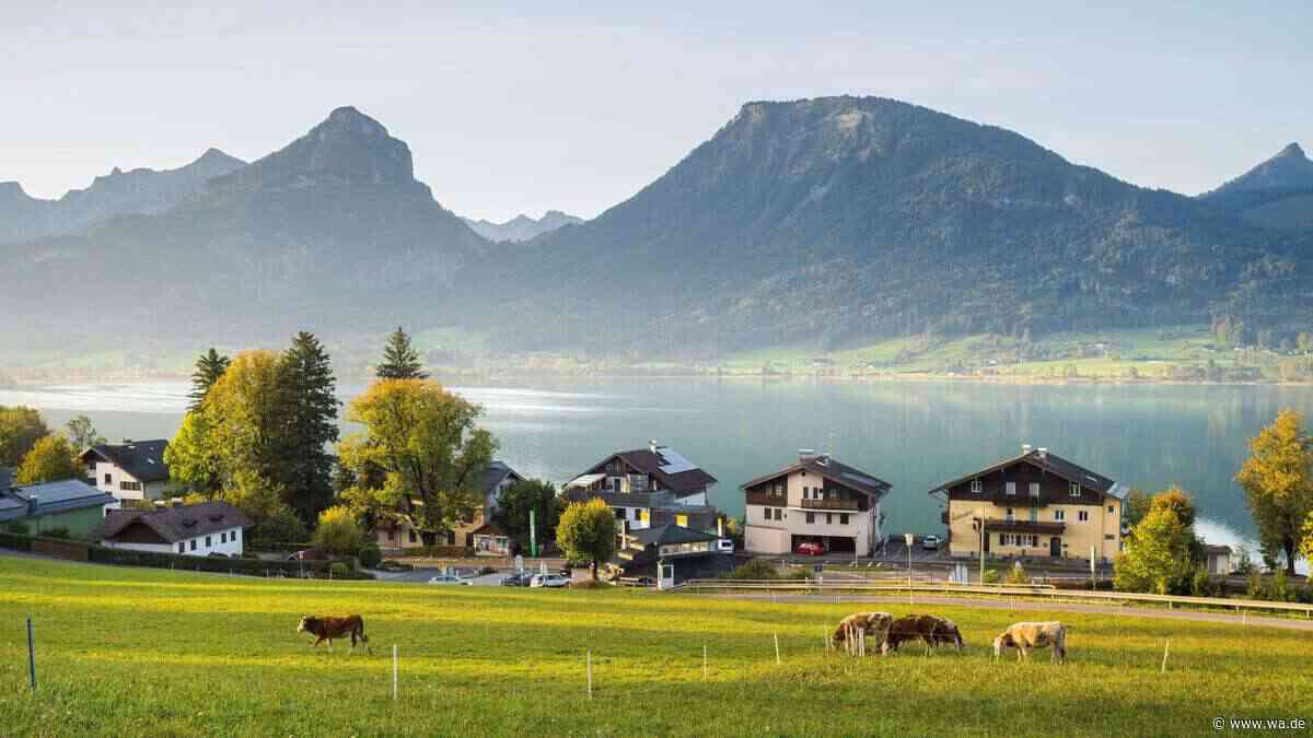 Geschützter Fisch landet auf Restaurant-Karte – Sternekoch redet sich um Kopf und Kragen