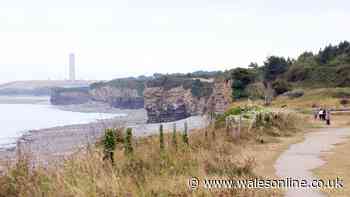 338-home plan for Rhoose approved – but there's one big catch