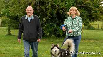 Couple foster 59 rescue dogs over 15 years after opening their home to pups