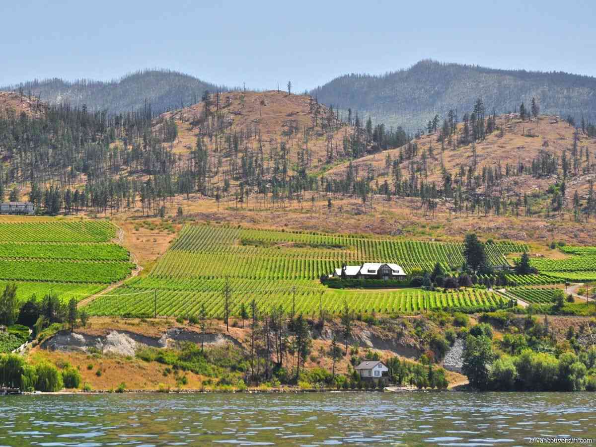 Opinion: This year’s drought pitted fish against farms. B.C. must do better