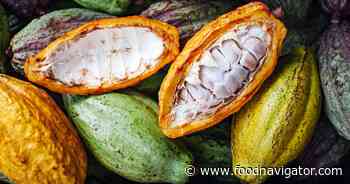 Mars’ cocoa strategy centers around new tech and cloning