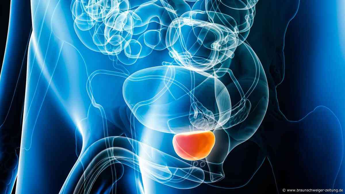 Prostatakrebs: Wie Ärzte erkennen können, welcher Tumor tötet