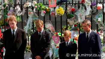 Childhood saviours to bitter rows - the truth about Diana and her brother
