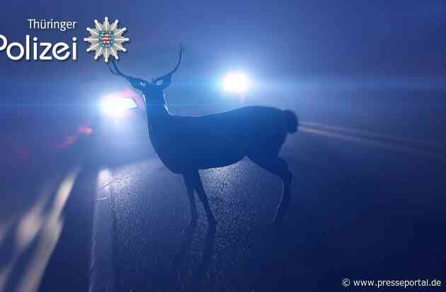 LPI-NDH: Zahlreiche Wildunfälle im Eichsfeld - Polizei warnt vor zunehmenden Wildwechsel