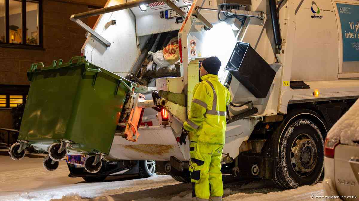 Binman says 1 waste bin mistake could be causing litter on the streets