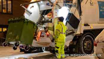 Binman says 1 waste bin mistake could be causing litter on the streets