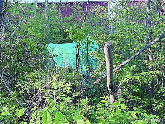 Cleaning up homeless encampments a costly venture