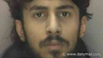 World's worst hitmen whose ambush plot failed when one shot the other by mistake are jailed for total of 15 years