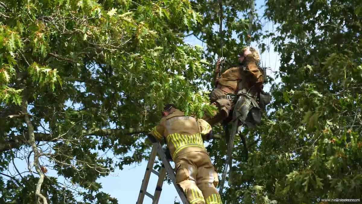 Militaire parachutist zit ruim een uur vast in boom na sprong in Gelderland